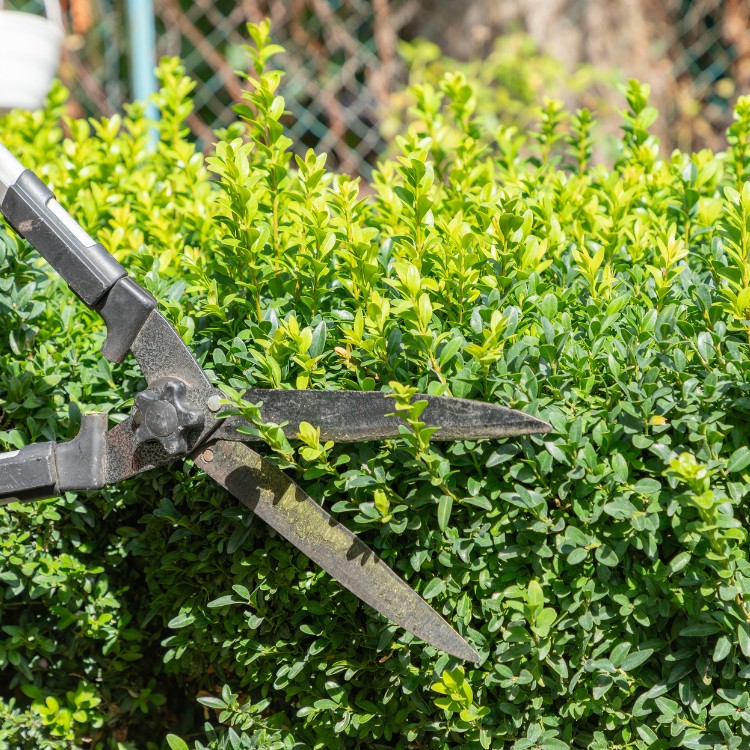 Lawn Care in Greenfield, IN Lawn Care in Greenfield, IN