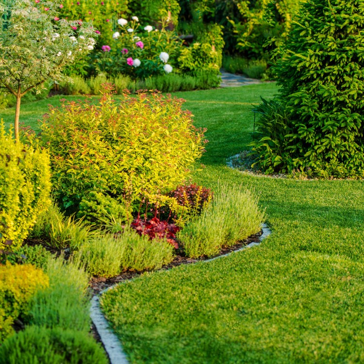 Lawn Care in Greenfield, IN Lawn Care in Greenfield, IN